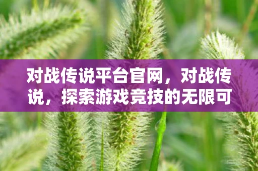 对战传说平台官网，对战传说，探索游戏竞技的无限可能