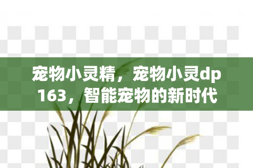宠物小灵精,宠物小灵dp163,智能宠物的新时代 宠物小灵精,宠物小灵dp163,智能宠物的新时代