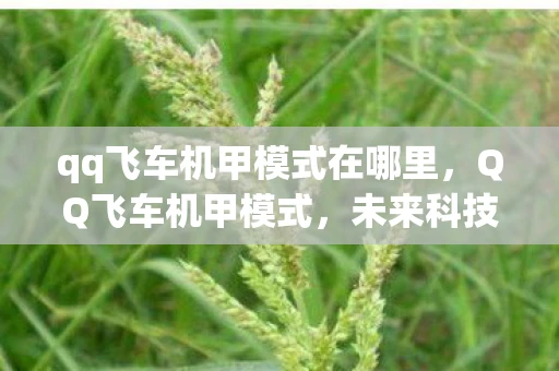 qq飞车机甲模式在哪里，QQ飞车机甲模式，未来科技的竞速盛宴