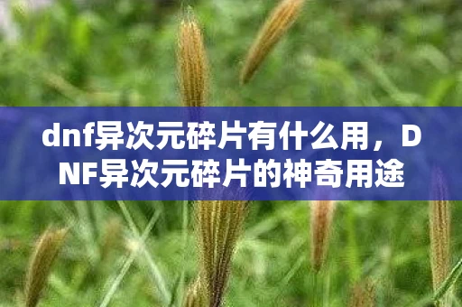 dnf异次元碎片有什么用,DNF异次元碎片的神奇用途 dnf异次元碎片有什么用,DNF异次元碎片的神奇用途