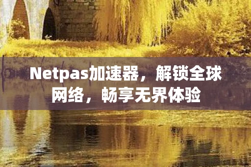 Netpas加速器，解锁全球网络，畅享无界体验