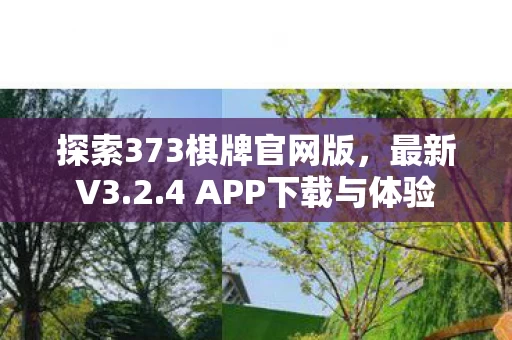 探索373棋牌官网版图片
