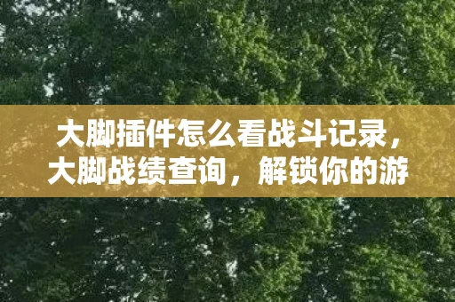 大脚插件怎么看战斗记录，大脚战绩查询，解锁你的游戏成就