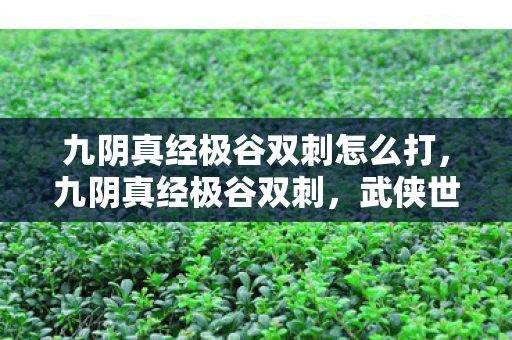 九阴真经极谷双刺怎么打，九阴真经极谷双刺，武侠世界中的绝世武技