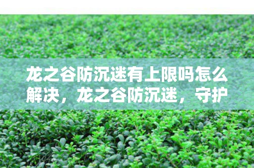 龙之谷防沉迷有上限吗怎么解决，龙之谷防沉迷，守护孩子的数字童年