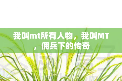 我叫mt所有人物，我叫MT，佣兵下的传奇