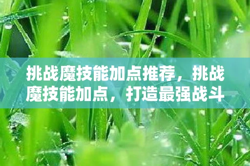 挑战魔技能加点推荐，挑战魔技能加点，打造最强战斗力的关键