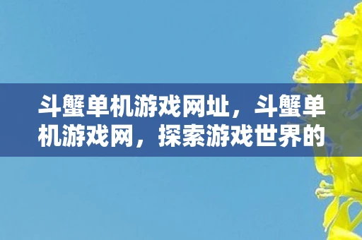 斗蟹单机游戏网址，斗蟹单机游戏网，探索游戏世界的无限可能