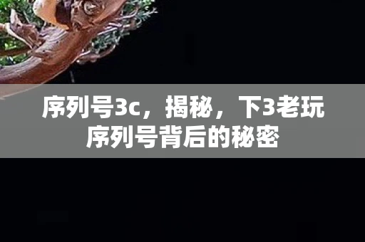 序列号3c,揭秘,下3老玩序列号背后的秘密 序列号3c,揭秘,下3老玩序列号背后的秘密