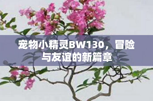 宠物小精灵BW130图片