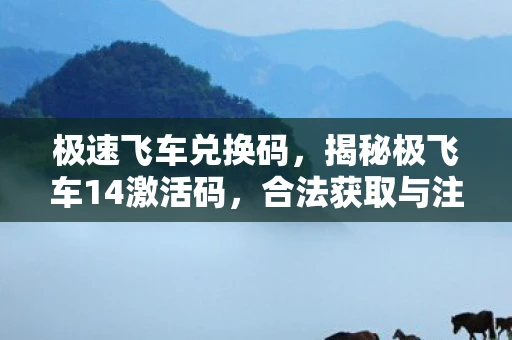 极速飞车兑换码,揭秘极飞车14激活码,合法获取与注意事项 极速飞车兑换码,揭秘极飞车14激活码,合法获取与注意事项