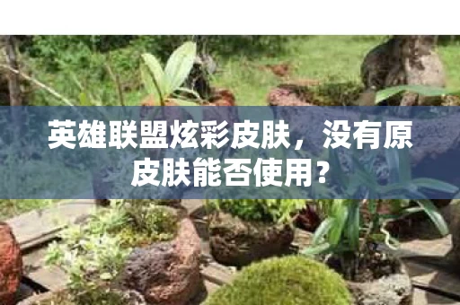 没有原皮肤能否使用图片