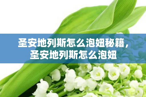 圣安地列斯怎么泡妞秘籍，圣安地列斯怎么泡妞