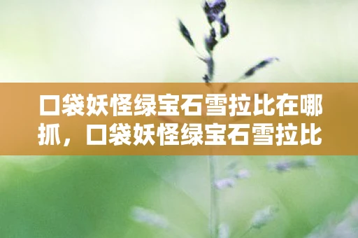 口袋妖怪绿宝石雪拉比在哪抓,口袋妖怪绿宝石雪拉比,穿越时空的神奇之旅 口袋妖怪绿宝石雪拉比在哪抓,口袋妖怪绿宝石雪拉比,穿越时空的神奇之旅