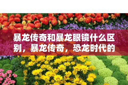 暴龙传奇和暴龙眼镜什么区别,暴龙传奇,恐龙时代的霸主 暴龙传奇和暴龙眼镜什么区别,暴龙传奇,恐龙时代的霸主