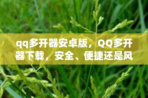 qq多开器安卓版，QQ多开器下载，安全、便捷还是风险？