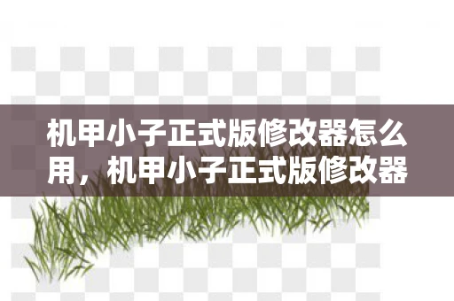 机甲小子正式版修改器怎么用，机甲小子正式版修改器，解锁无限可能的战斗利器