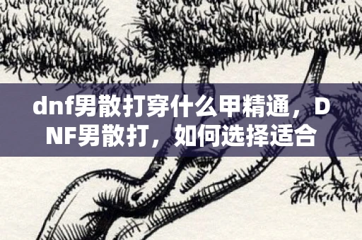 dnf男散打穿什么甲精通,DNF男散打,如何选择适合的装备甲 dnf男散打穿什么甲精通,DNF男散打,如何选择适合的装备甲