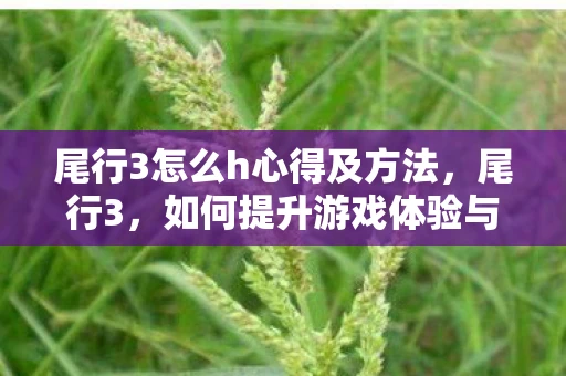 尾行3怎么h心得及方法,尾行3,如何提升游戏体验与H场景解锁攻略 尾行3怎么h心得及方法,尾行3,如何提升游戏体验与H场景解锁攻略