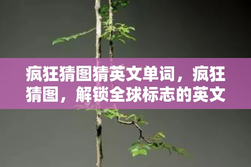 疯狂猜图猜英文单词,疯狂猜图,解锁全球标志的英文挑战 疯狂猜图猜英文单词,疯狂猜图,解锁全球标志的英文挑战