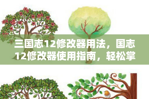 三国志12修改器用法,国志12修改器使用指南,轻松掌握修改技巧 三国志12修改器用法,国志12修改器使用指南,轻松掌握修改技巧