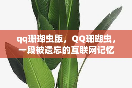 qq珊瑚虫版,QQ珊瑚虫,一段被遗忘的互联网记忆 qq珊瑚虫版,QQ珊瑚虫,一段被遗忘的互联网记忆