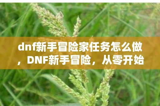 dnf新手冒险家任务怎么做,DNF新手冒险,从零开始的异世界之旅 dnf新手冒险家任务怎么做,DNF新手冒险,从零开始的异世界之旅