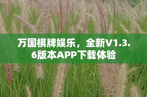 6版本APP下载体验图片