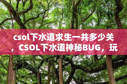 csol下水道求生一共多少关，CSOL下水道神秘BUG，玩家探索与官方回应