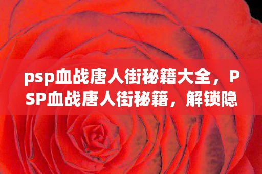 psp血战唐人街秘籍大全，PSP血战唐人街秘籍，解锁隐藏技能与无限可能