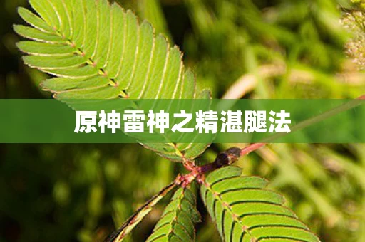 原神雷神之精湛腿法图片