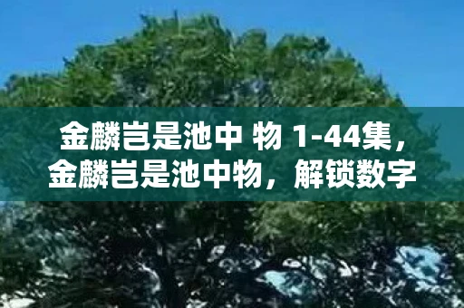 金麟岂是池中 物 1-44集,金麟岂是池中物,解锁数字时代的无限可能 金麟岂是池中 物 1-44集,金麟岂是池中物,解锁数字时代的无限可能