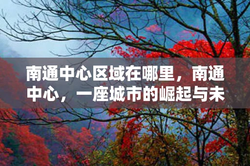 南通中心区域在哪里，南通中心，一座城市的崛起与未来展望