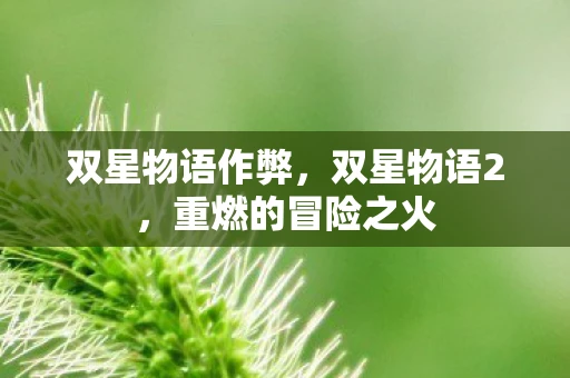 双星物语作弊，双星物语2，重燃的冒险之火
