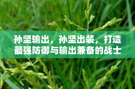 孙坚输出，孙坚出装，打造最强防御与输出兼备的战士