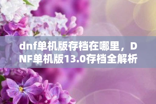 dnf单机版存档在哪里，DNF单机版13.0存档全解析，打造你的专属冒险之旅