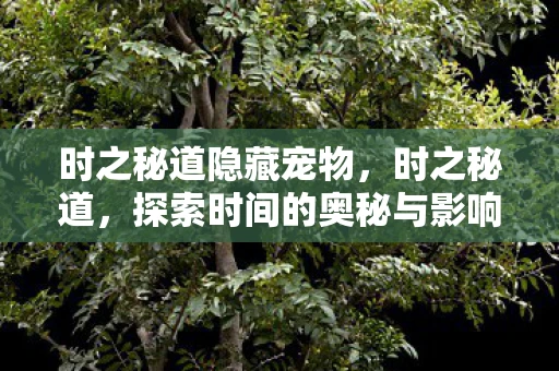 时之秘道隐藏宠物，时之秘道，探索时间的奥秘与影响