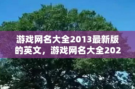 游戏网名大全2013最新版的英文，游戏网名大全2023最新版，创意与个性的碰撞