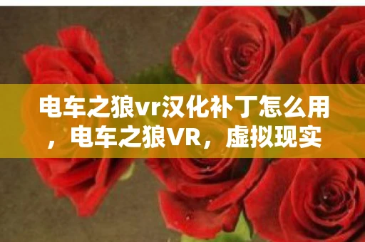 电车之狼vr汉化补丁怎么用，电车之狼VR，虚拟现实的伦理边界与审美挑战