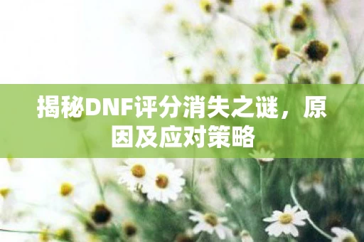 揭秘DNF评分消失之谜图片