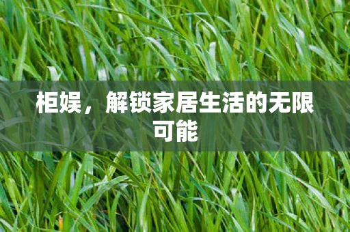 柜娱，解锁家居生活的无限可能