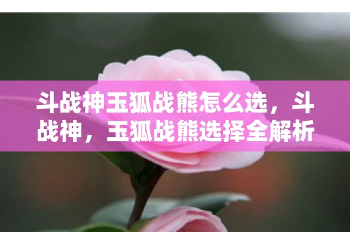 斗战神玉狐战熊怎么选，斗战神，玉狐战熊选择全解析