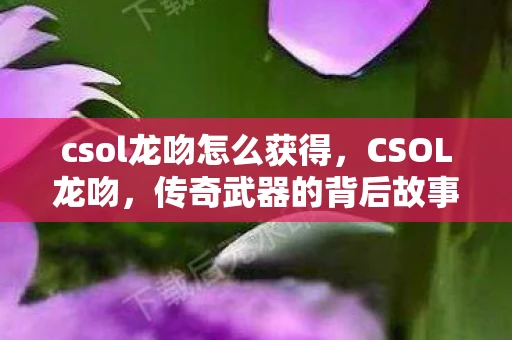 csol龙吻怎么获得，CSOL龙吻，传奇武器的背后故事
