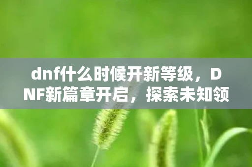 dnf什么时候开新等级，DNF新篇章开启，探索未知领域，迎接全新挑战