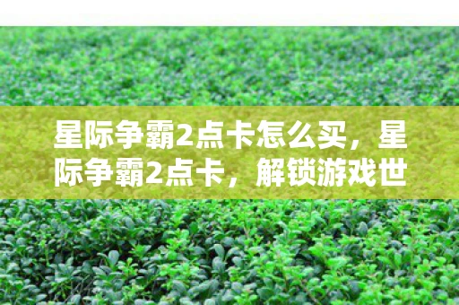 星际争霸2点卡怎么买，星际争霸2点卡，解锁游戏世界的钥匙