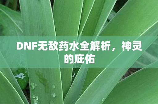 DNF无敌药水全解析图片
