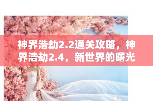 神界浩劫2.2通关攻略，神界浩劫2.4，新世界的曙光