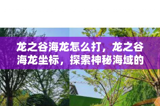 龙之谷海龙怎么打，龙之谷海龙坐标，探索神秘海域的奇幻之旅