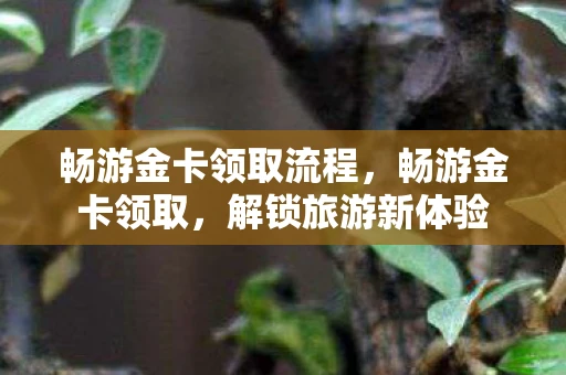 畅游金卡领取流程，畅游金卡领取，解锁旅游新体验