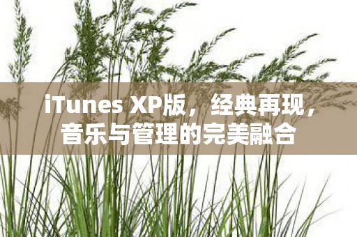 iTunes XP版，经典再现，音乐与管理的完美融合